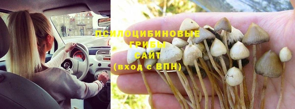 амф Приозерск